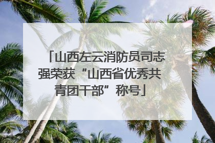 山西左云消防员司志强荣获“山西省优秀共青团干部”称号